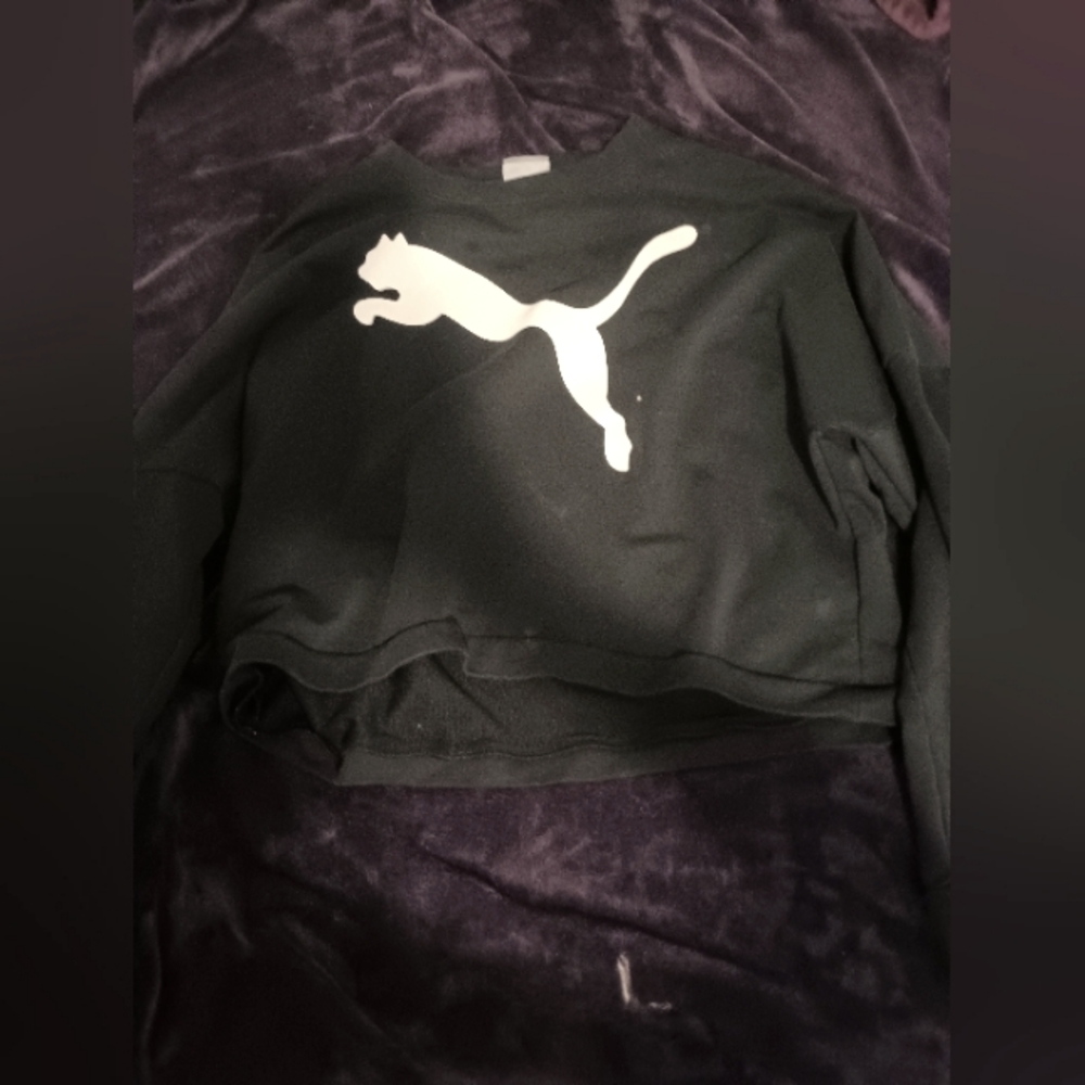 A sweatshirt
